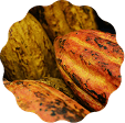 Cocoa Beans