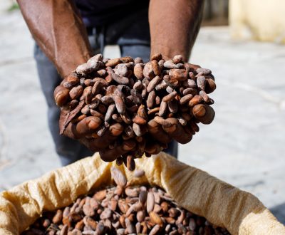 SFI AGRI Commodities - cocoa-beans-hands-farmer-background-bags